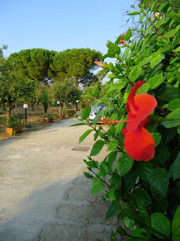 "Green" B&B Il Bracco Partinico Ngoại thất bức ảnh