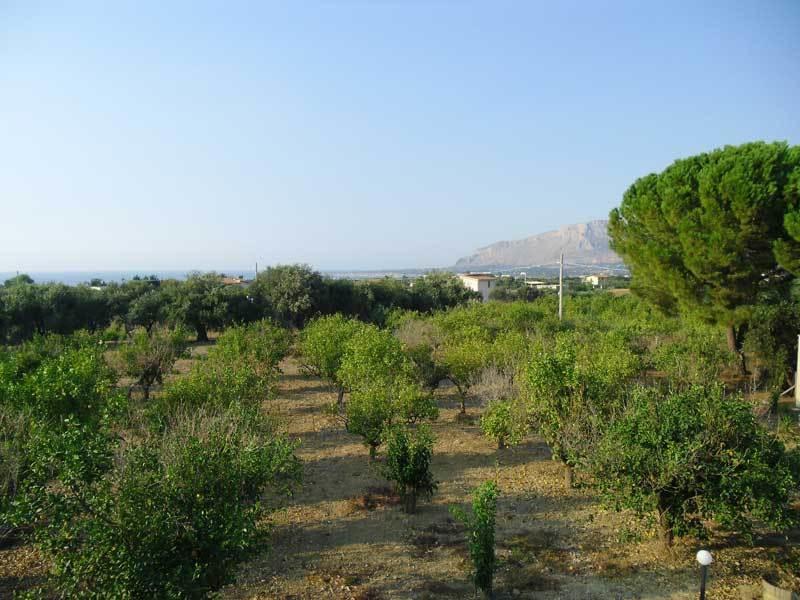 "Green" B&B Il Bracco Partinico Ngoại thất bức ảnh